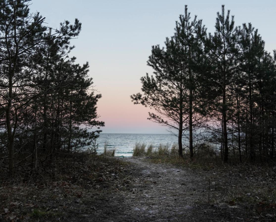 Safari Lodge Prora Binz Eksteriør billede